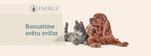 EnergyVet